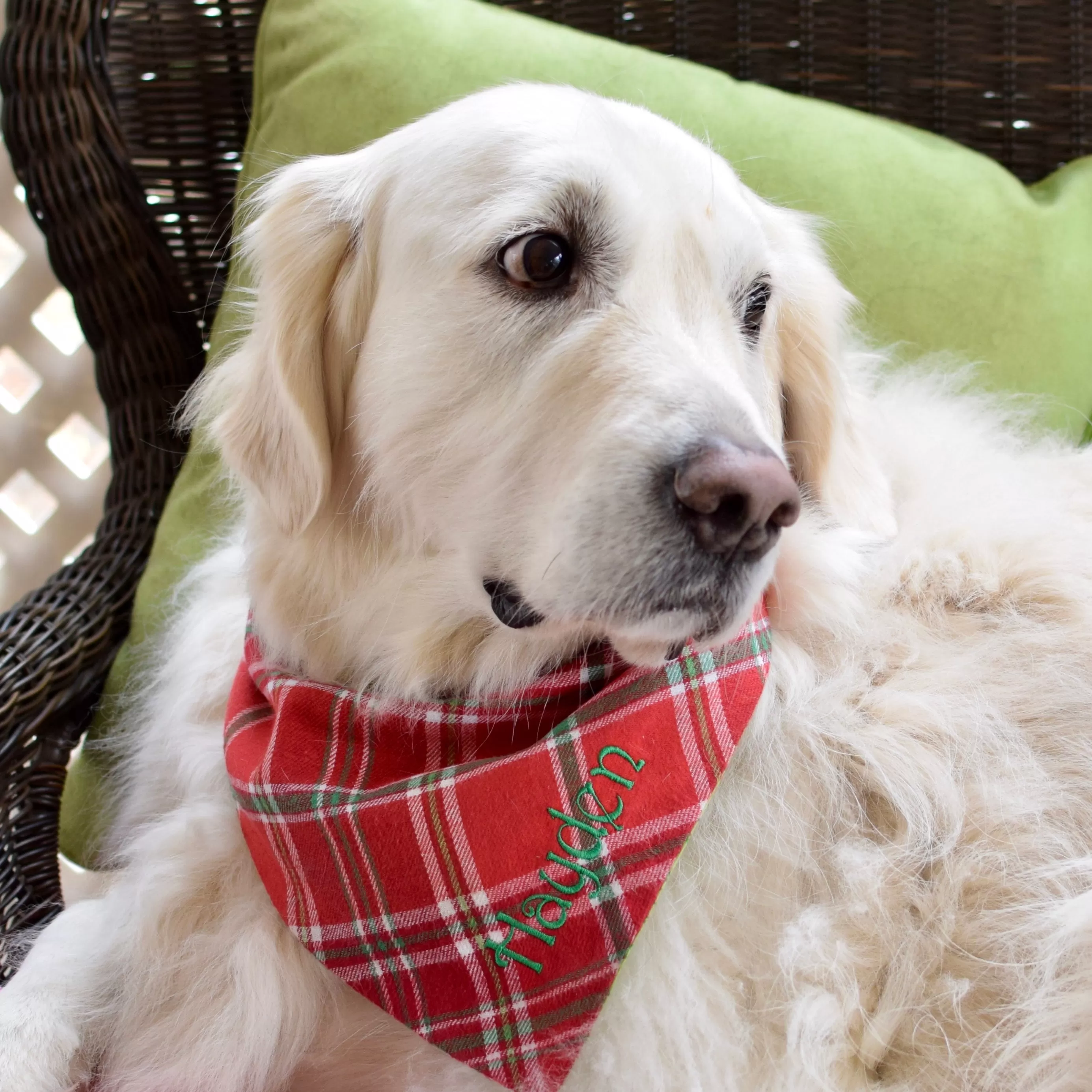 Flannel Custom Dog Bandanas with Name Embroidered